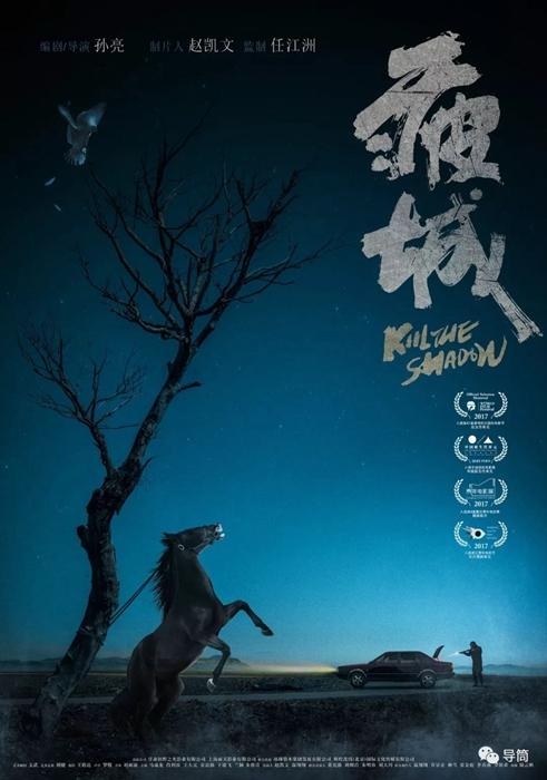 怎么办假菲律宾